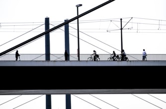 Oberkassler bridge over the Rhine near Düsseldorf, in front, behind the Rheinknie bridge, cyclist,