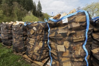 Firewood from the Black Forest for removal, firewood, Sulzburg, Markgräflerland, Upper Black