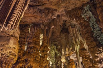 St. Michael's Cave, limestone cave in the Upper Rock Nature Reserve, Gibraltar, Europe