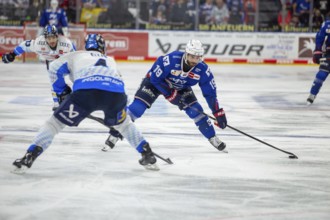 DEL, German Ice Hockey League 2024/25 season, matchday 44: Adler Mannheim v ERC Ingolstadt***hatch
