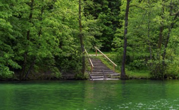 Landscape at Lake Thumsee, Bad Reichenhall, Bavaria, Germany, Europe