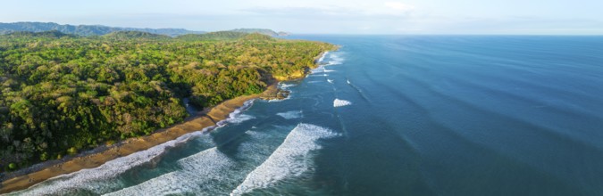 Aerial view, rainforest, sandy beach and coast with waves, Playa Cocalito, Puntarenas, Costa Rica,