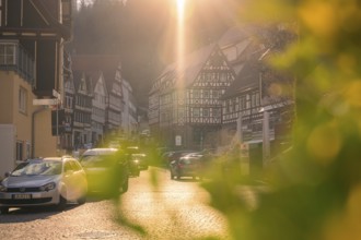 Picturesque half-timbered houses at sunset with parked cars and green plants in the foreground,