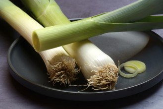Leek, leek sticks on a plate, leek