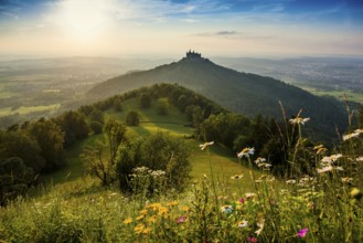 Hohenzollern Castle, sunset, Hechingen, Swabian Alb, Baden-Württemberg, Germany, Europe