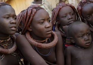 Group of Himba children and young woman look at pictures on a camera, near Opuwo, Kaokoveld,