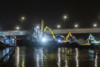 Due to an as yet unknown cause, a section of the Carola Bridge collapsed in the early hours of the