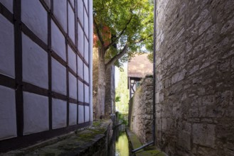 Mühlhausen townscape, Mühlhausen, Thuringia, Germany, Europe