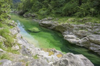 Emerald green river Pozze Smeraldine, Tramonti di Sopra, Province of Pordenone, Italy, Europe