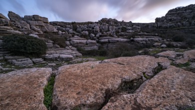 Bizarre limestone rock formations, El Torcal nature reserve, Torcal de Antequera, Malaga province,