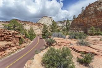Patterns of erosion on the rocky mountainside along the Zion Park Boulevard in Zion National Park,