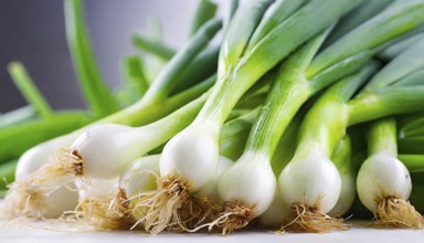 Vegetable, spring onion or spring onion, also known as winter onion, Allium fistulosum