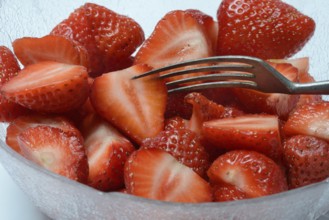 Halved strawberries in a bowl, Fragaria