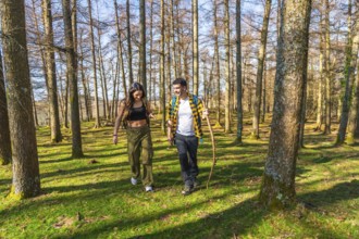 Hikers with backpacks enjoying a lively conversation while walking along a sunlit path in a vibrant