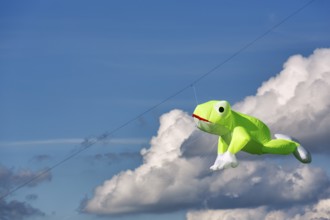 Kite flying in the sky, frog, kite festival in Vinsebeck, Cumulus, copy space, Steinheim,
