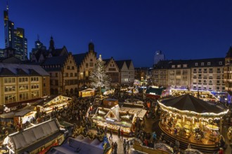 The lights of Frankfurt's Christmas market shine in the evening., Römerberg, Frankfurt am Main,