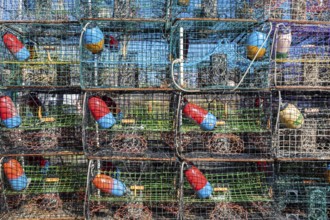 Shell Beach, Louisiana - Traps for blue crabs on a dock in St. Bernard Parish, southeast of New