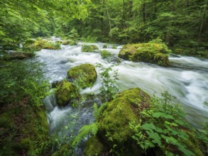 White water and rapids on the Trieb stream in the Triebtal nature reserve in Vogtland, Plauen,