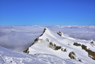 View from the Gottesacker plateau on the Hoher Ifen (2230 m) towards the west, Kleinwalstertal,