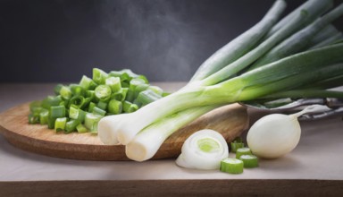 Vegetable, spring onion or spring onion, also known as winter onion, Allium fistulosum