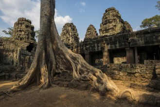 Ta Prohm, Angkor Wat, Angkor, UNESCO World Heritage Site, Siem Reap, Cambodia, Indochina, Southeast