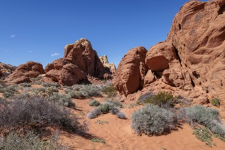 Rock formations along the Fire Canyon Overlook Trail at Valley of Fire State Park near Overton,