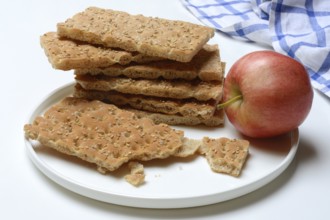 Crispbread and apple on a plate