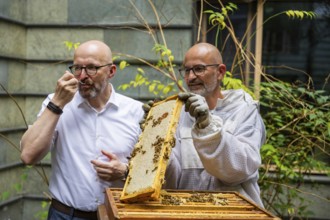 Jens Ardelt and State Secretary Thomas Kralinski hiving a beehive. Since the beginning of 2023,