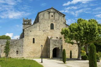 Vaison-la-Romaine. Notre-Dame de Nazareth cathedral. Vaucluse. Provence-Alpes-Côte d'Azur. France