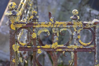 Moss-covered iron grille at an Israeli cemetery, inaugurated in 1882, Werner-von Siemens Str. 2,