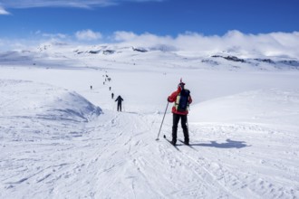 National day 17th May, Norwegians hike on ski, carrying norwegian flags, hike from Finse, highest
