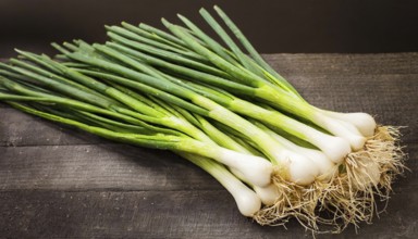 Vegetable, spring onion or spring onion, also known as winter onion, Allium fistulosum