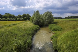 Kamen, Ruhr area, North Rhine-Westphalia, Germany, Spring landscape on the Seseke. The