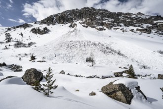 Avalanche cone of a wet snow avalanche on a steep mountain slope with little snow, Bündner Haute