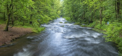 White water and rapids on the Trieb stream in the Triebtal nature reserve in Vogtland, Plauen,