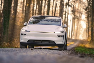 White car on a forest path, surrounded by trees in the sunlight, Tesla, New Model Y, Black Forest,