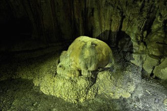 Arched turtle, calcite formation, landmark of the grotto, stalactite cave, Höllgrotten, Baar,