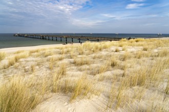 Dunes on the Baltic Sea beach and the pier at Graal-Müritz, Mecklenburg-Vorpommern, Germany, Europe