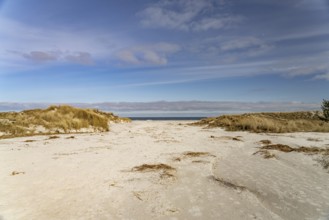 The Baltic Sea beach near Prerow, Mecklenburg-Western Pomerania, Germany, Europe