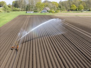 Artificial irrigation of a potato field in April, with a sprinkler system, long drought in spring