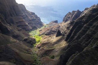 Aerial view Honopu Valley, Napali Coast, Kauai, Hawaii, USA, North America