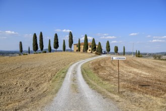 Cypresses in front of a country house, near Pienza, Val d'Orcia, Orcia Valley, Tuscany, Italy,