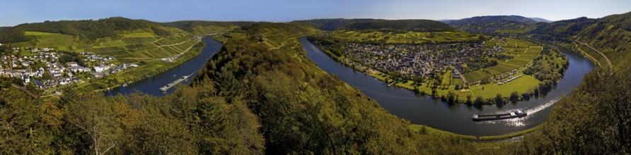 Panoramic view of the meandering Moselle from the Prinzenkopf Tower, Pünderich,