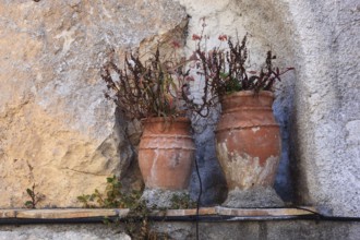 Two clay pots with withered plants standing in a niche in the wall, Sicily, Italy, Europe