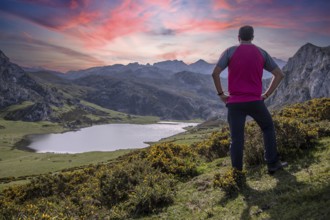 A young man looking at the beautiful Covadonga lake in Asturias in a beautiful spring sunset, Picos