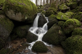 Moss-covered rocks, waterfalls, Geishöll waterfalls, In der Geishöll, near Sasbachwalden, Black