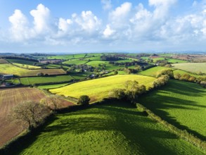 Lights and Shadows over Fields and Farms from a drone, Devon, England, United Kingdom, Europe