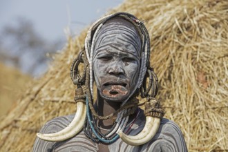 Painted woman of the Mursi tribe wearing lip plate and huge tusks earrings in the Mago National