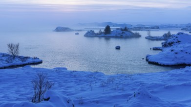 Snow-covered with bushes small island in Lake Myvatn, at blue hour, Kalfaströnd, Northern Iceland