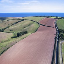 Fields and farmlands from a drone, Devon, England, United Kingdom, Europe